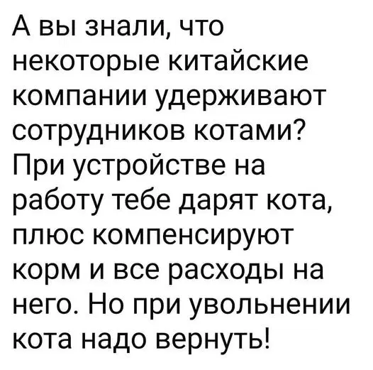 Дичь из погреба к столу