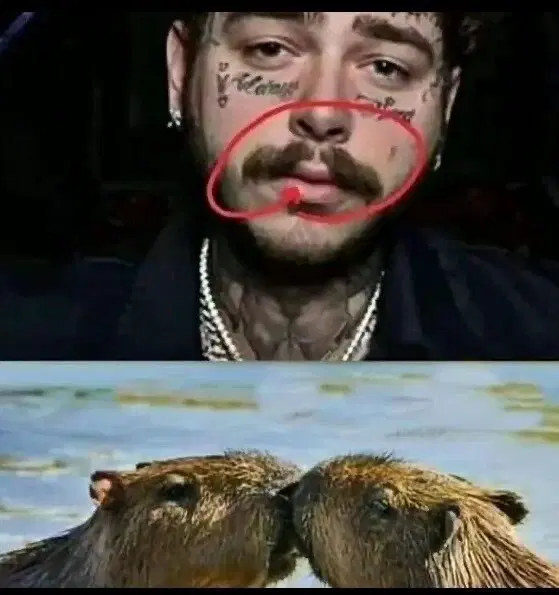 Дичь из погреба к столу