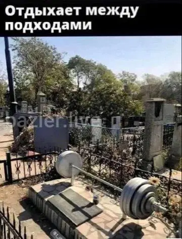 Дичь из погреба к столу