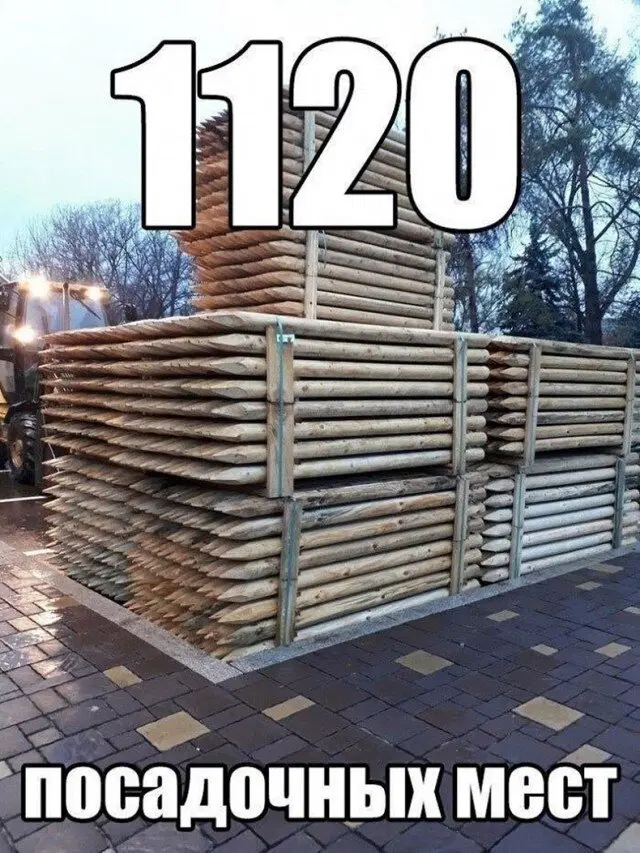 Дичь из погреба к столу
