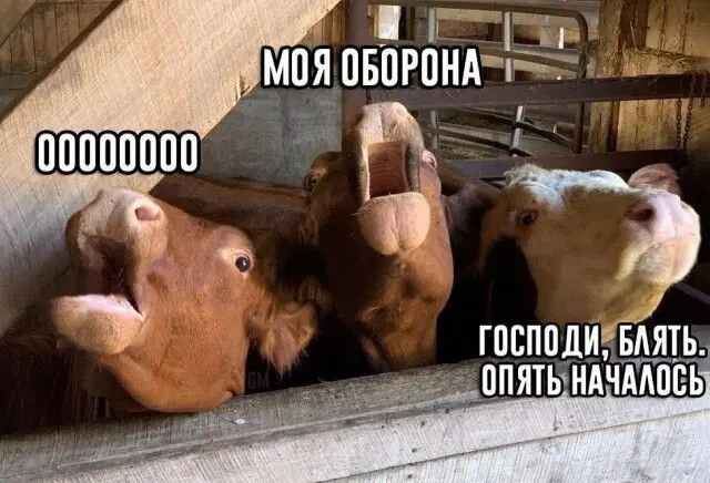 Дичь из погреба к столу