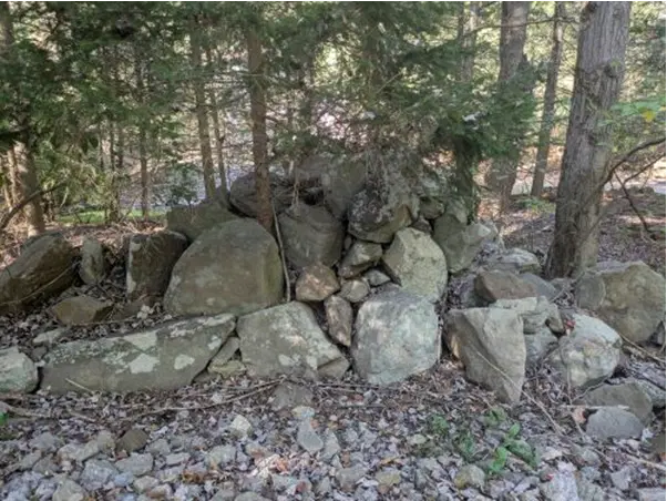 Лесная прогулка