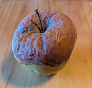 Лесная прогулка