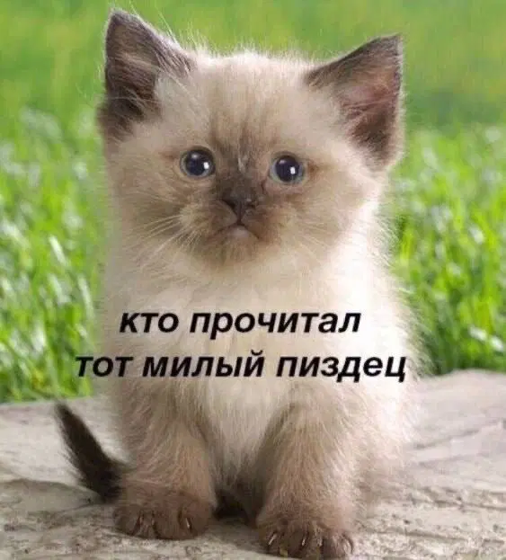 Понедельник радость дичь
