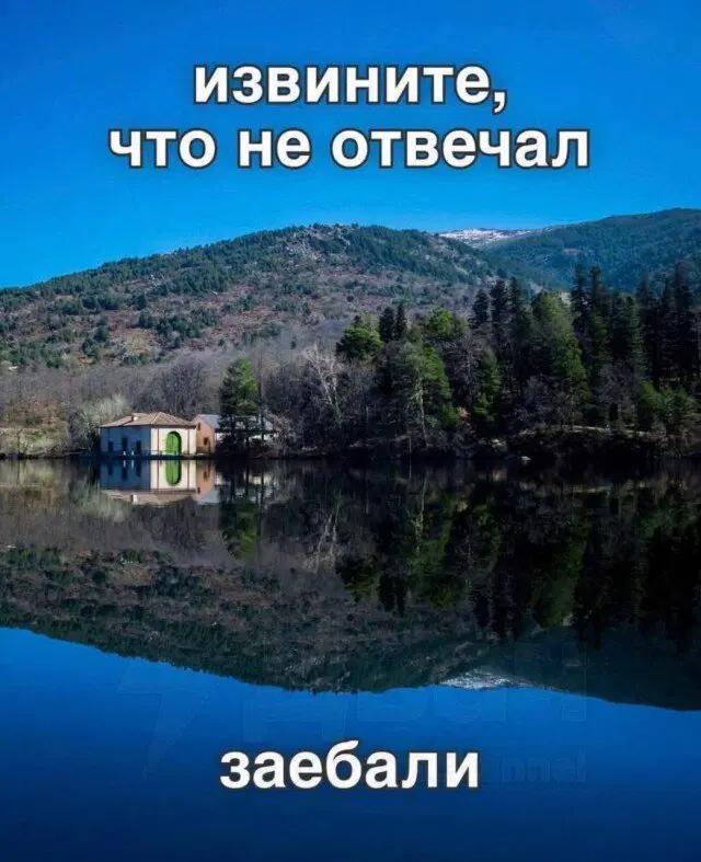 Понедельник радость дичь
