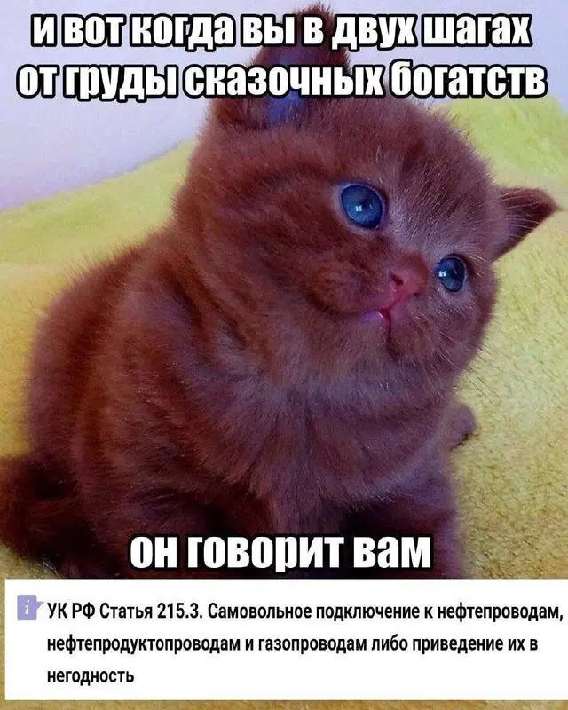 Понедельник радость дичь