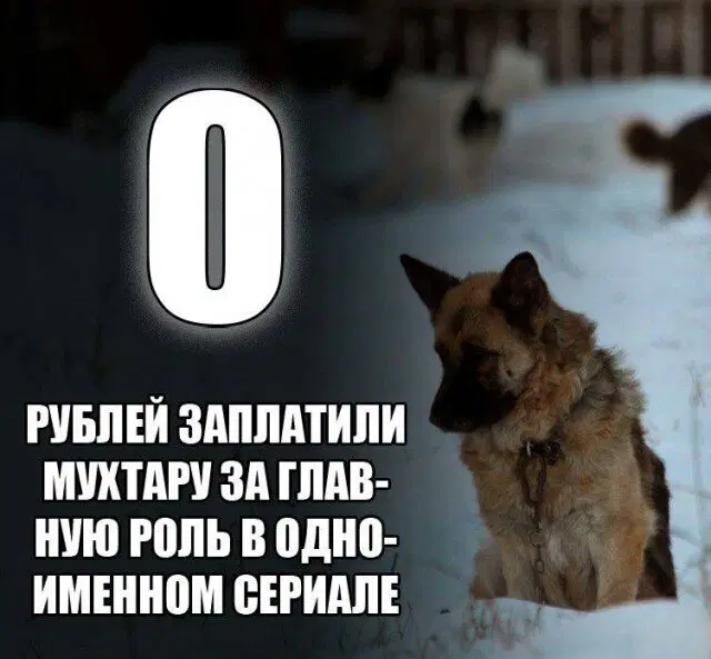 Понедельник радость дичь