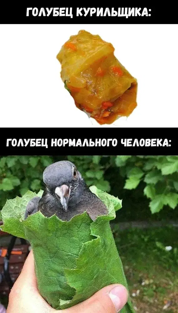 Понедельник радость дичь