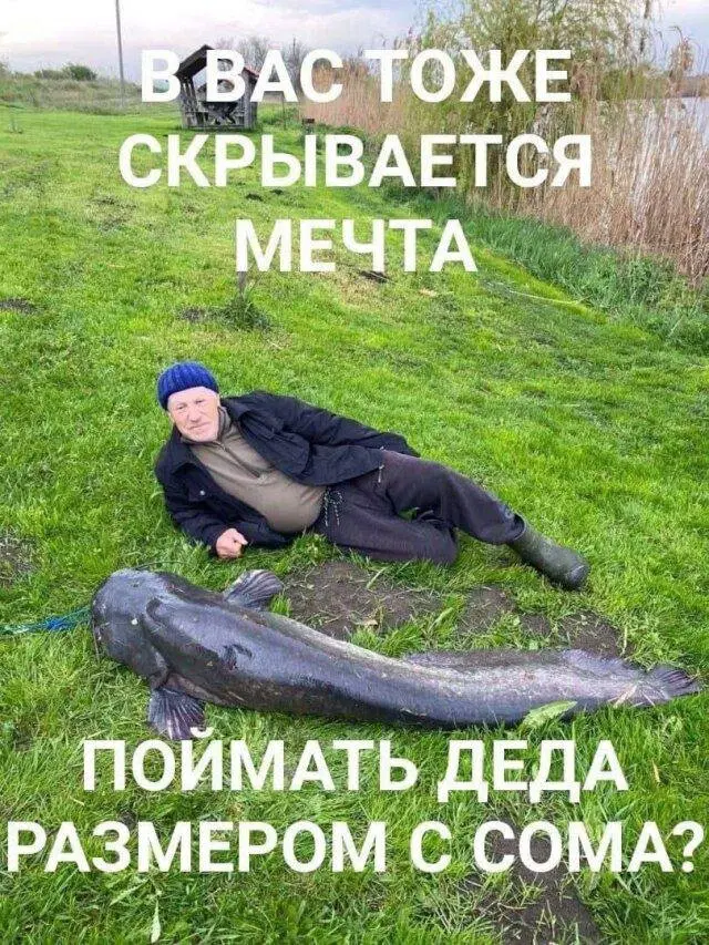 Вторник хандра дичь