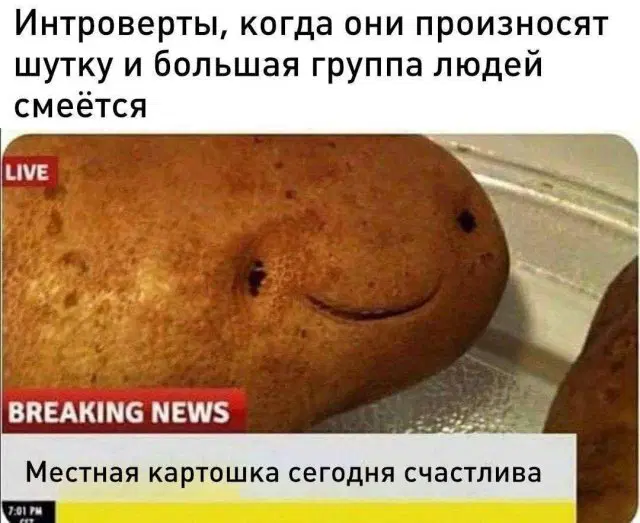 Вторник хандра дичь