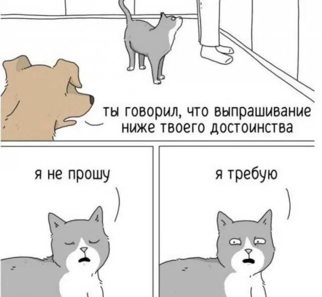 Вторник хандра дичь