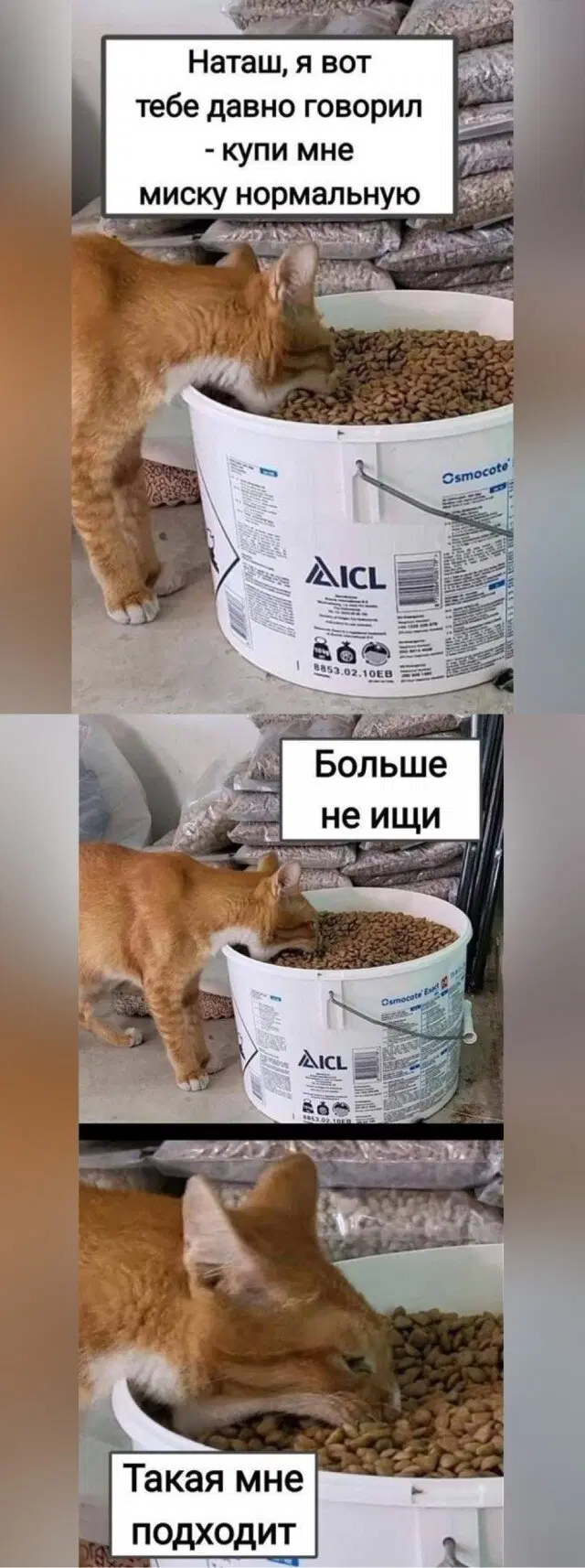 Вторник хандра дичь