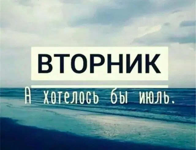 Вторник хандра дичь