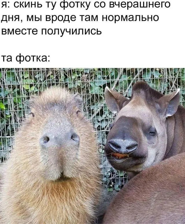 Вторник хандра дичь
