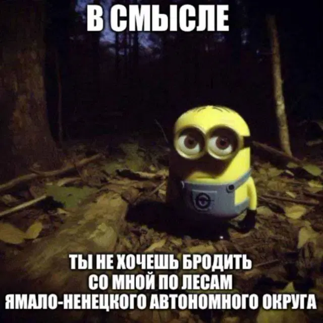 Четверг депрессия не спадает, дичь
