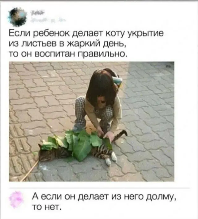 Дичка ранетковая