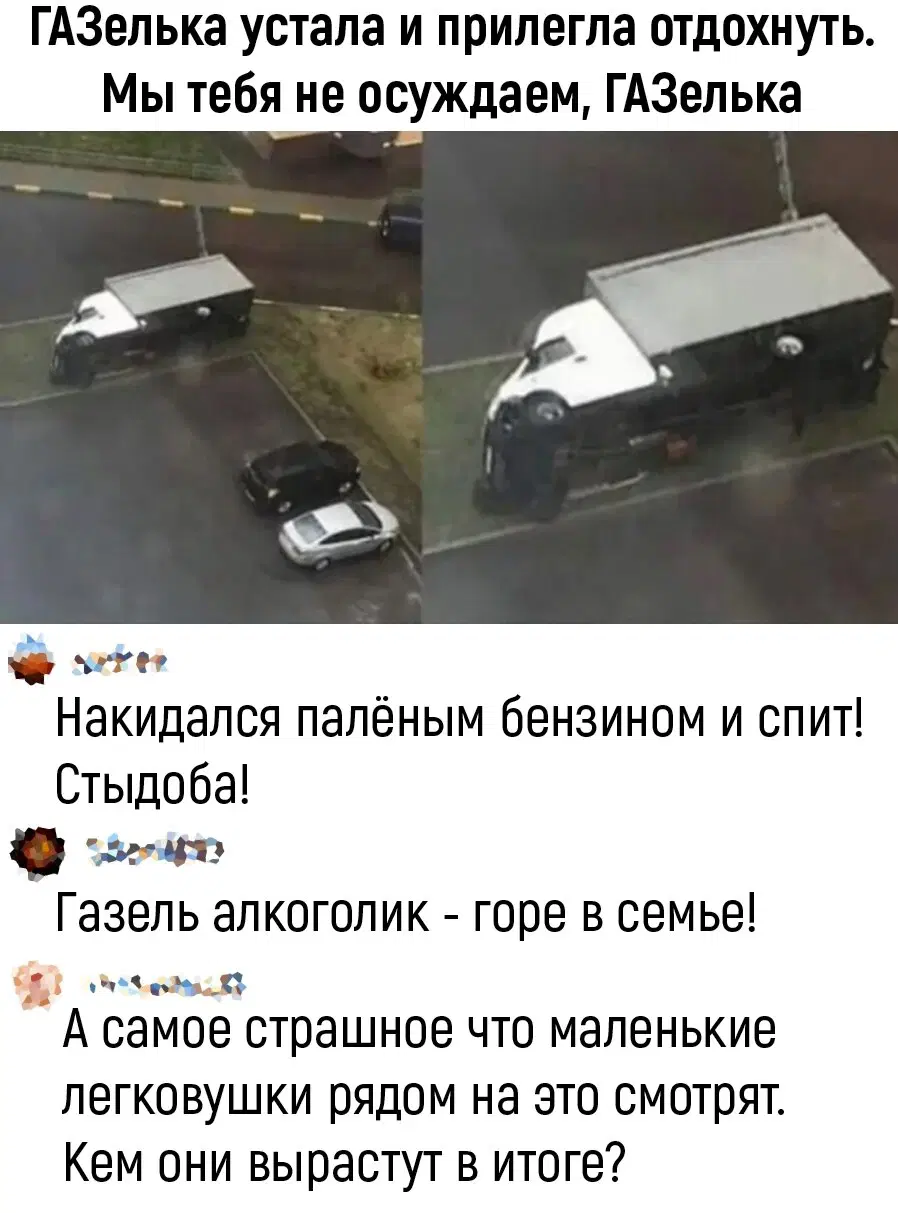 Дичка ранетковая