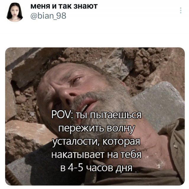 Дичка ранетковая