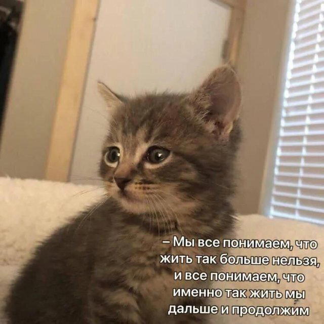 Понедельник и без дички?