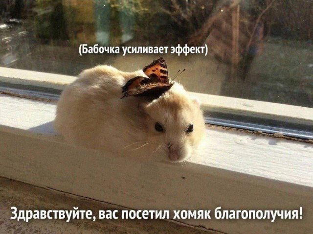 Понедельник и без дички?