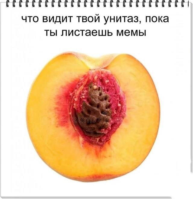 Понедельник и без дички?