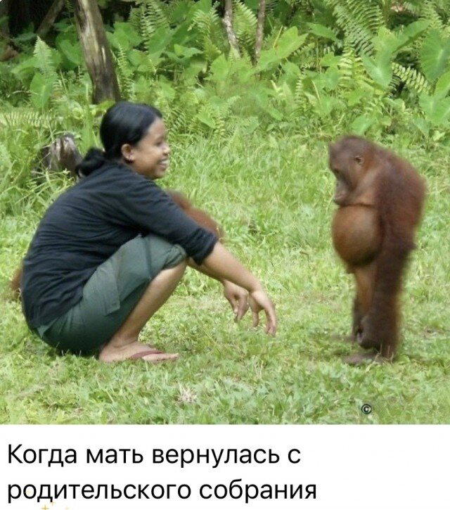 Понедельник и без дички?