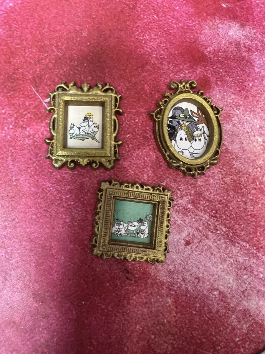 Фотографии членов семьи