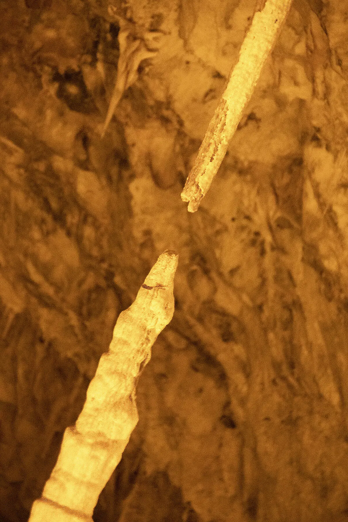 Последний рывок.