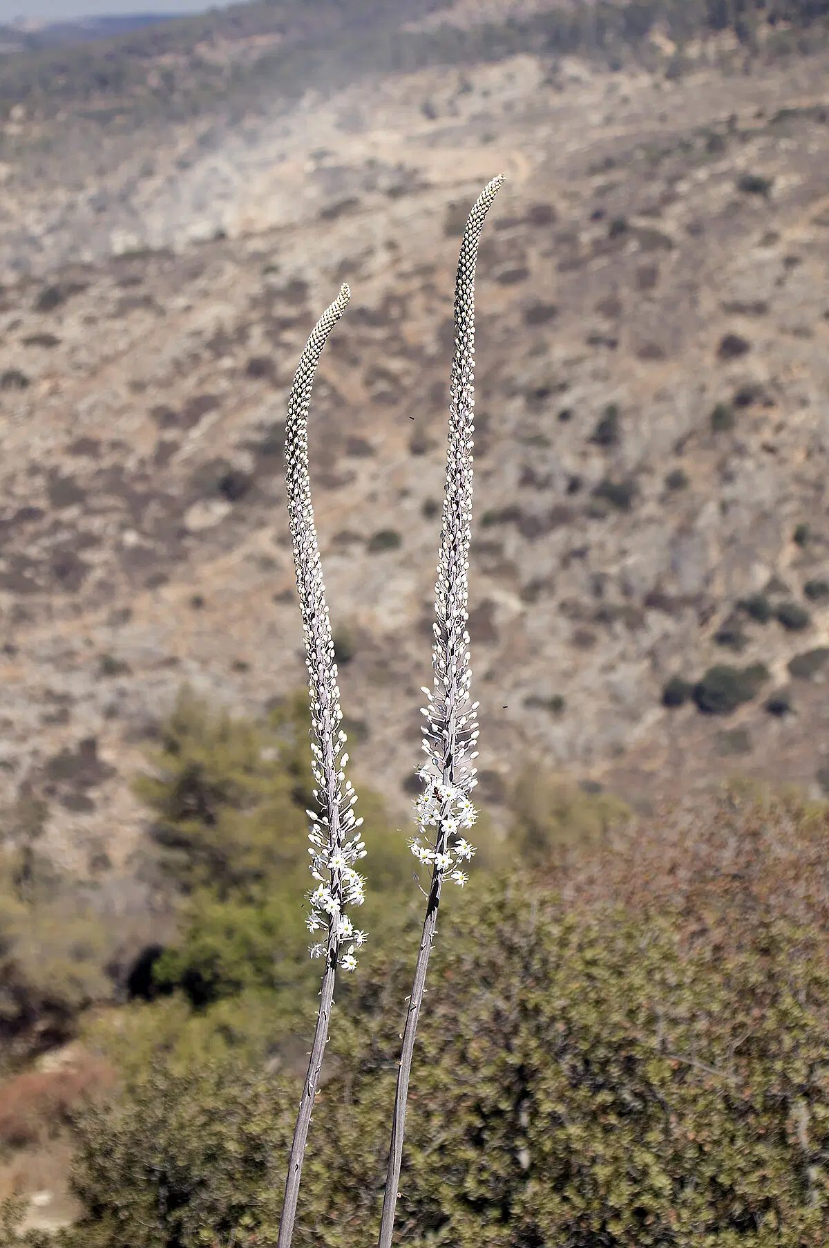 Галопом по ЕВРОпам. В пещере у гномов.