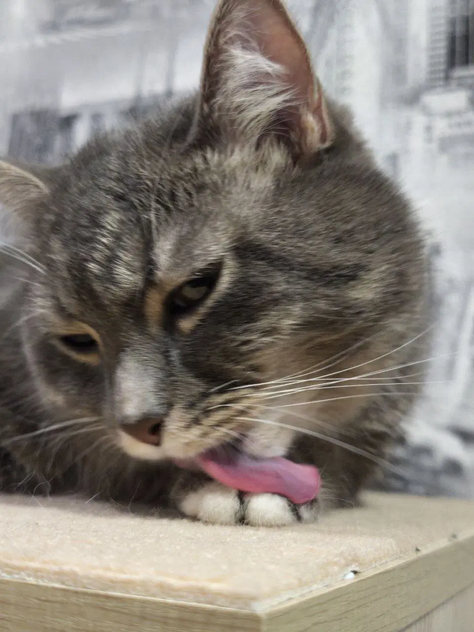 Добрый вечер