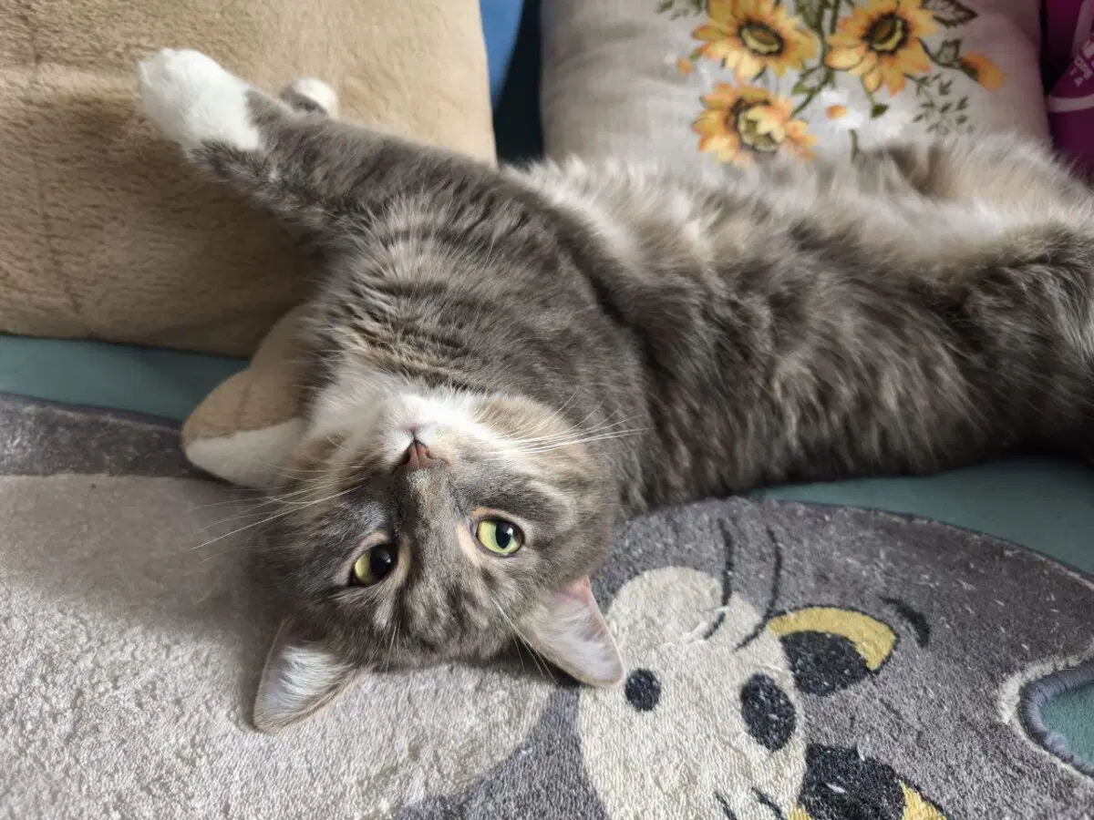 Добрый вечер