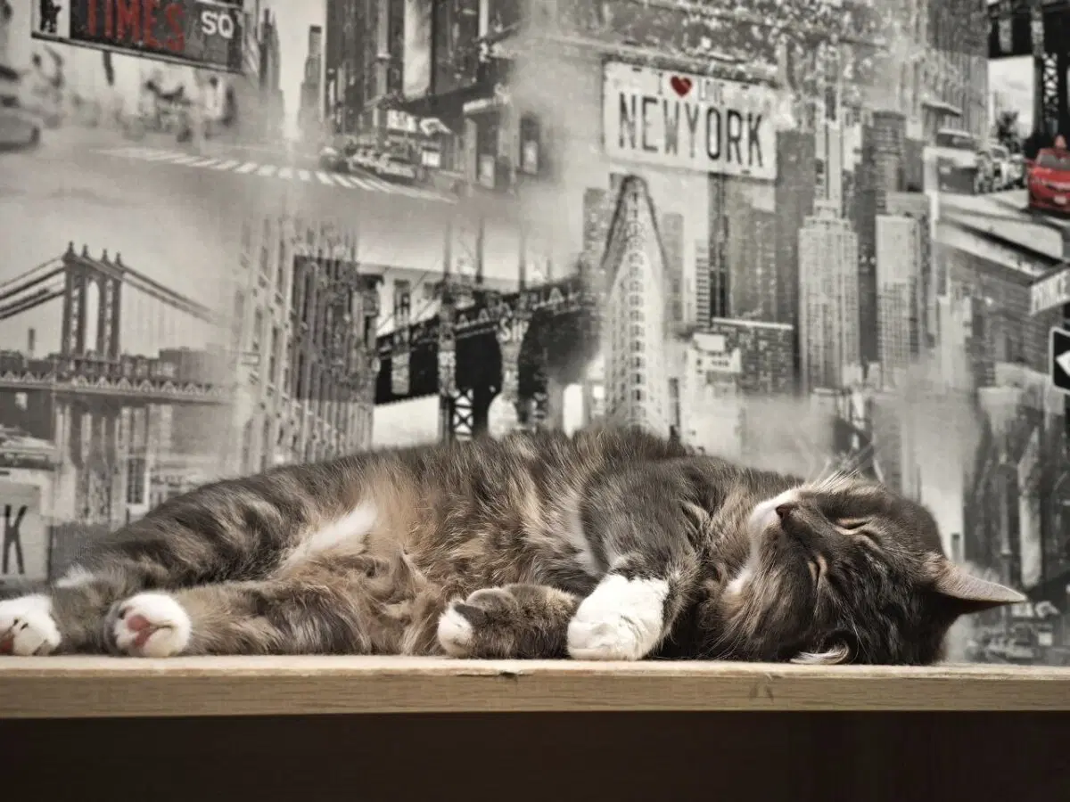 Добрый вечер