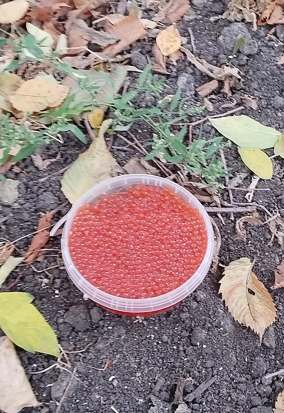 Крупным планом