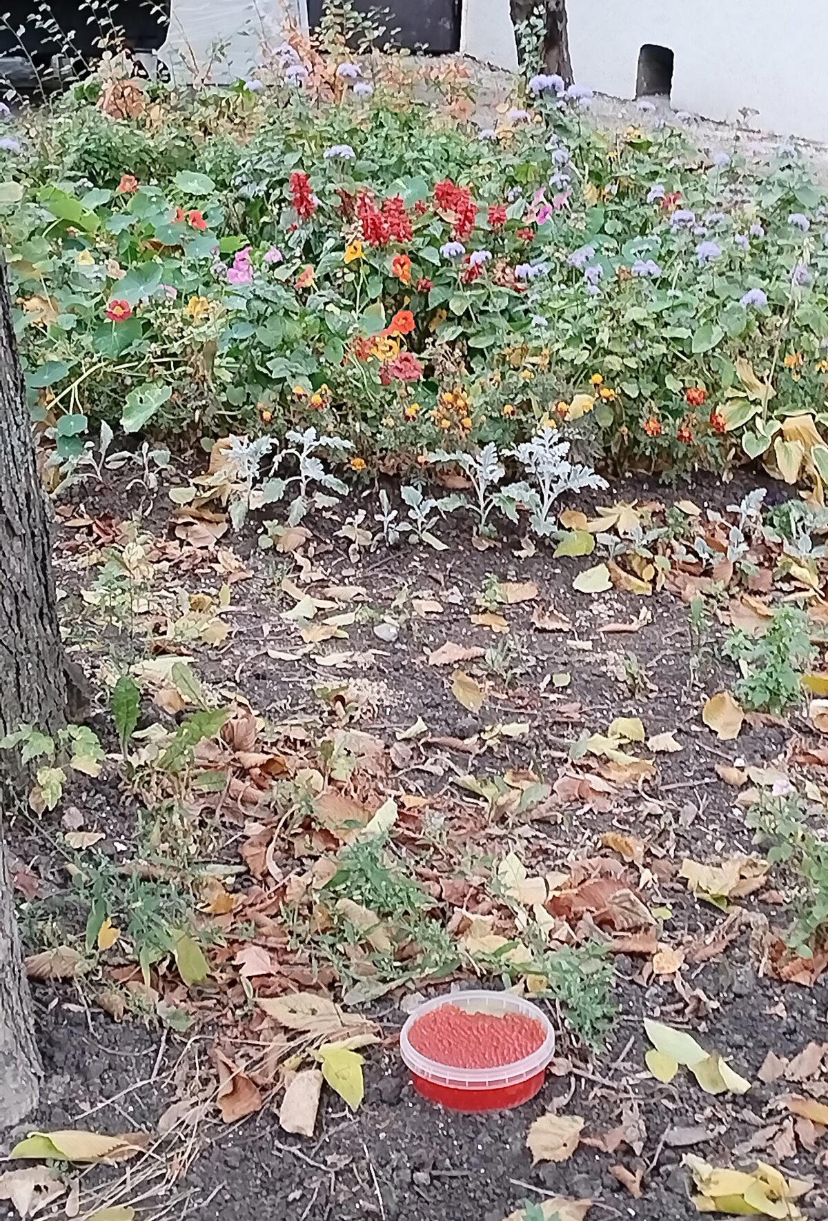 Инсталяция не моя - я просто мимо проходила