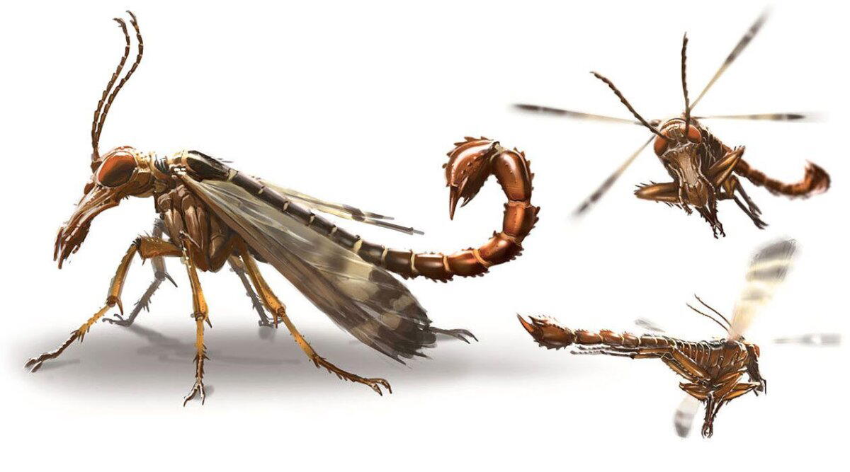 Что ты такое? Скорпионовая муха