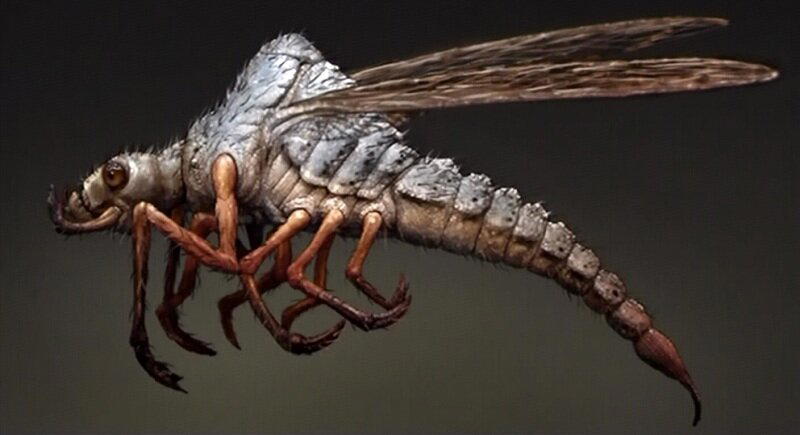 Что ты такое? Скорпионовая муха