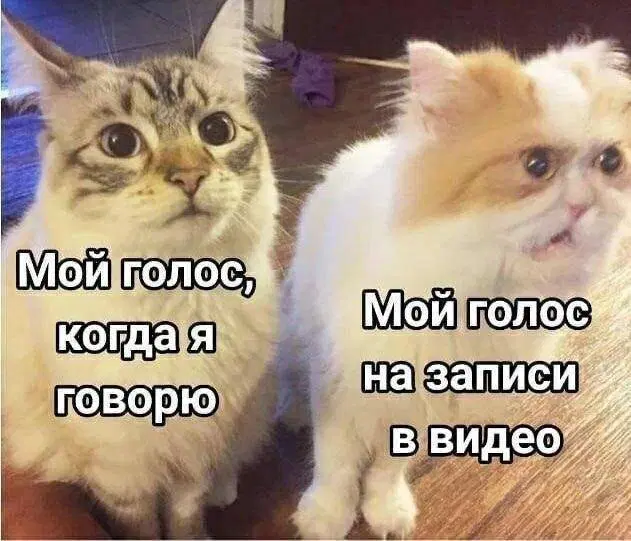 Ну вот и среда, всего 4 рабочих дня и выходные