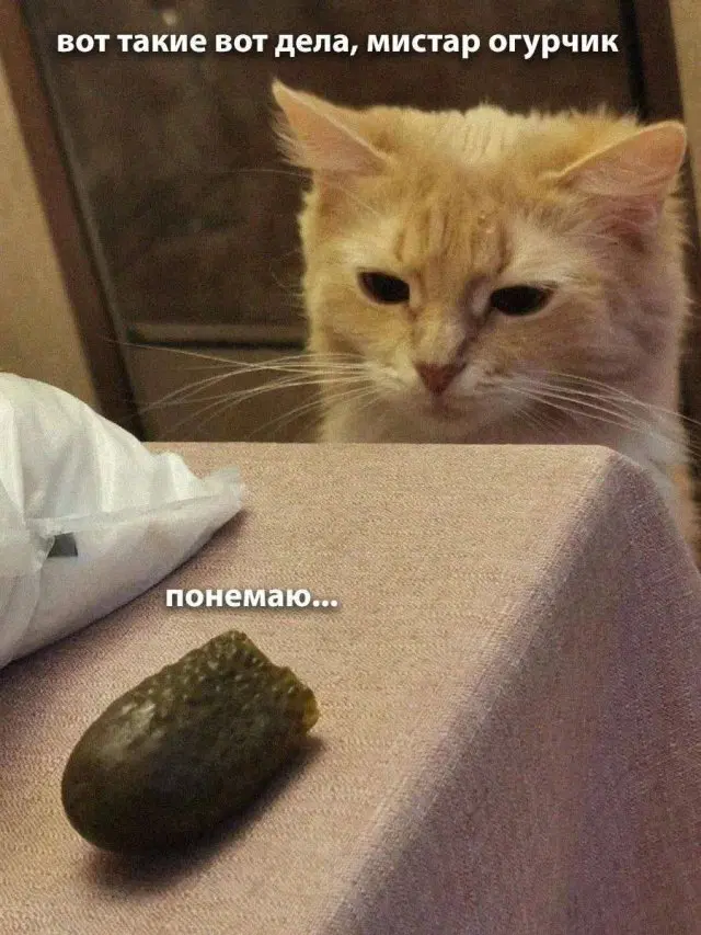 Ну вот и среда, всего 4 рабочих дня и выходные