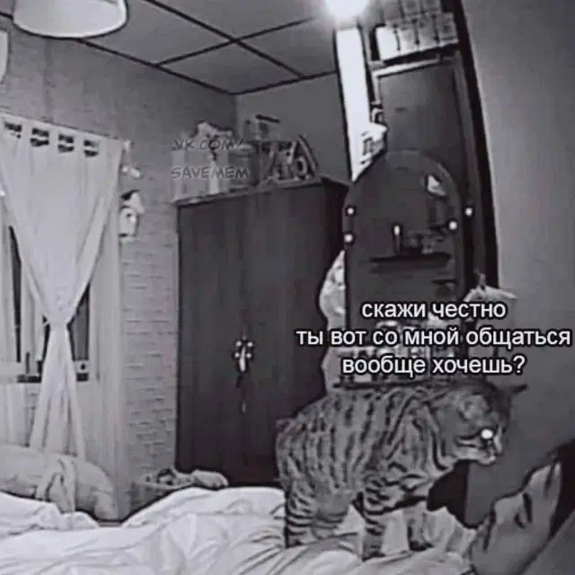 Четверго средовая дичь