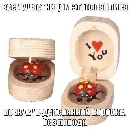 Четверго средовая дичь