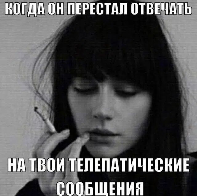 Четверго средовая дичь