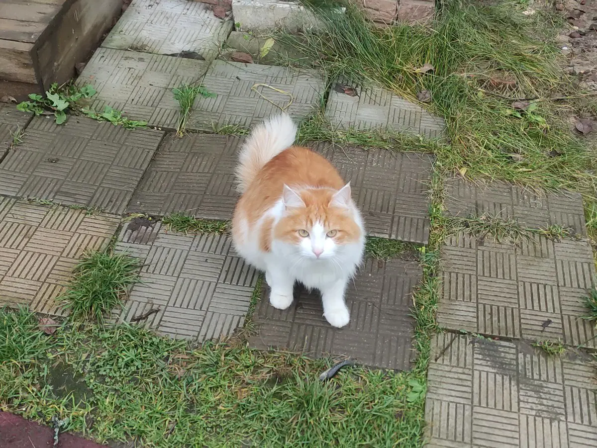 сам кушай эту мелочь 