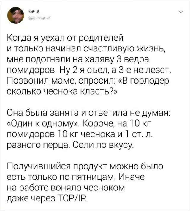 Дичка на выходные