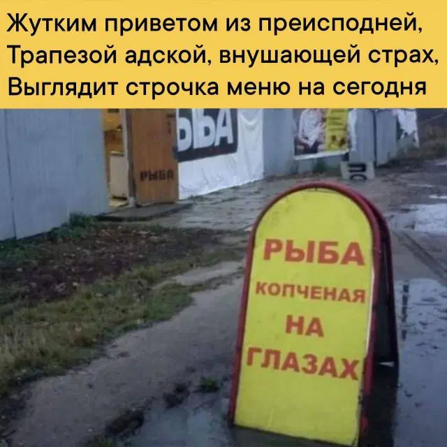 Дичка на выходные