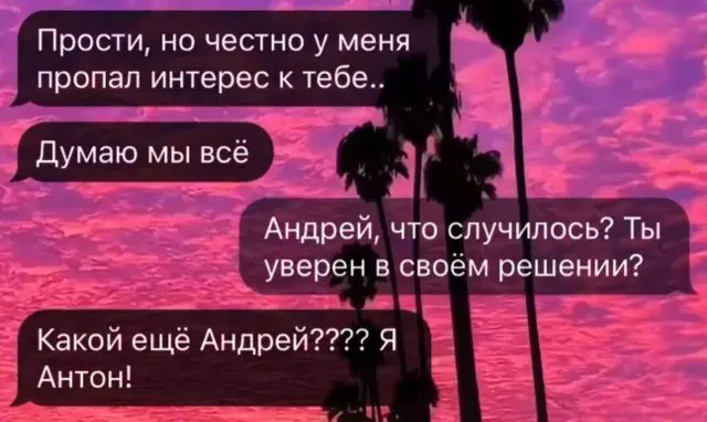 Дичка на выходные