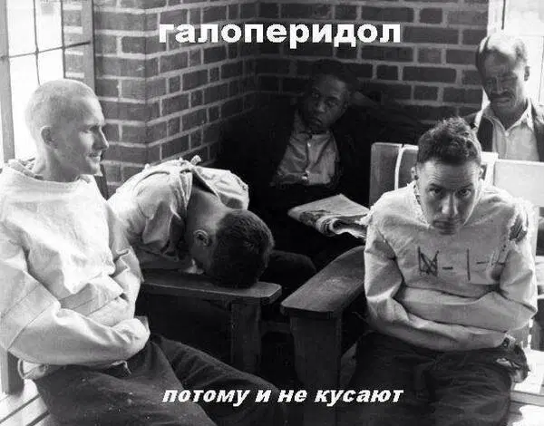 Дичка на выходные