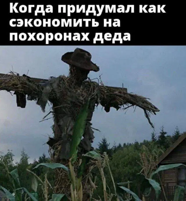 Дичка на выходные