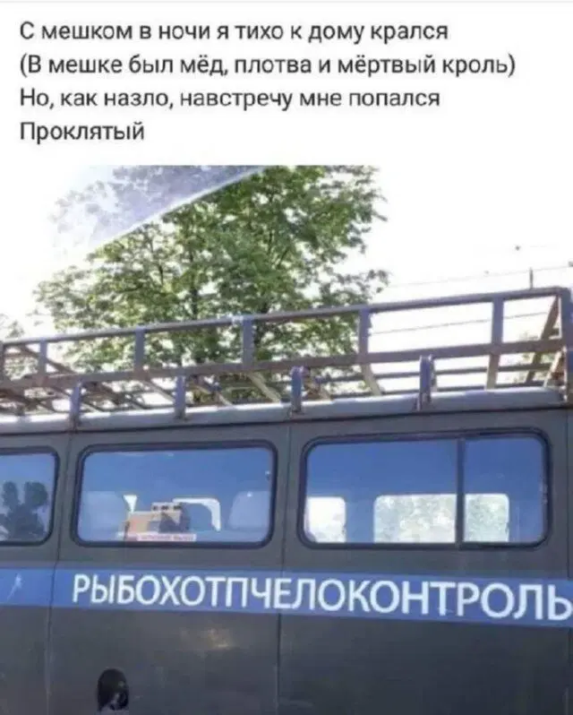 Дичка на выходные