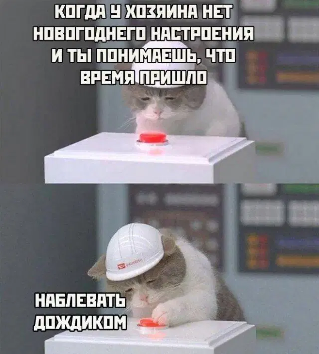 Дичка на выходные