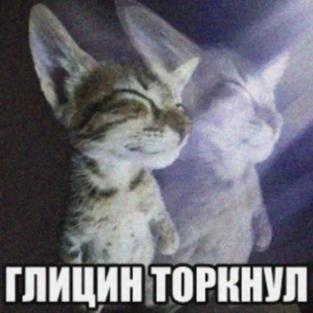 Дичка на выходные